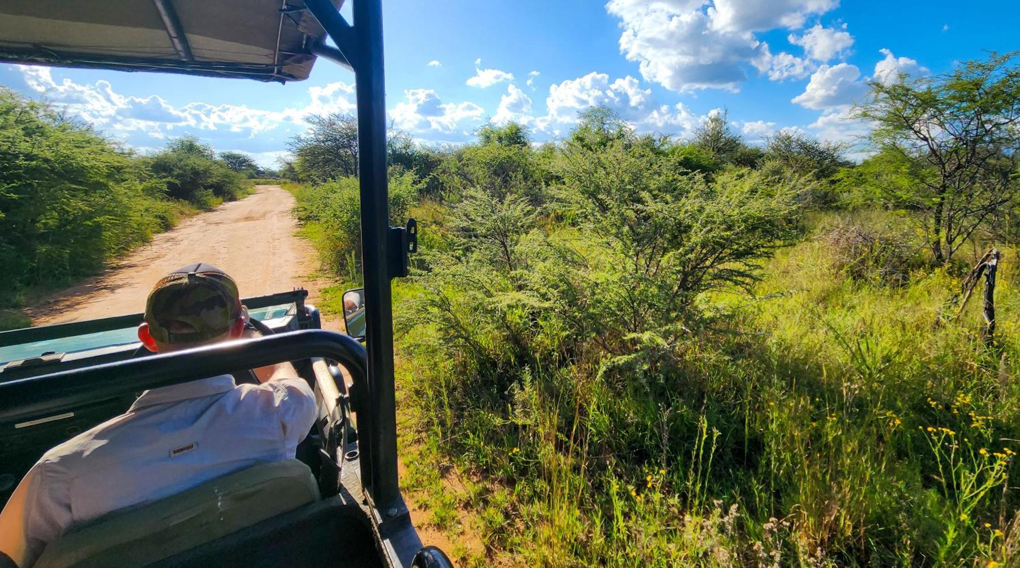 Ditholo Game Lodge Bela Bela Екстер'єр фото