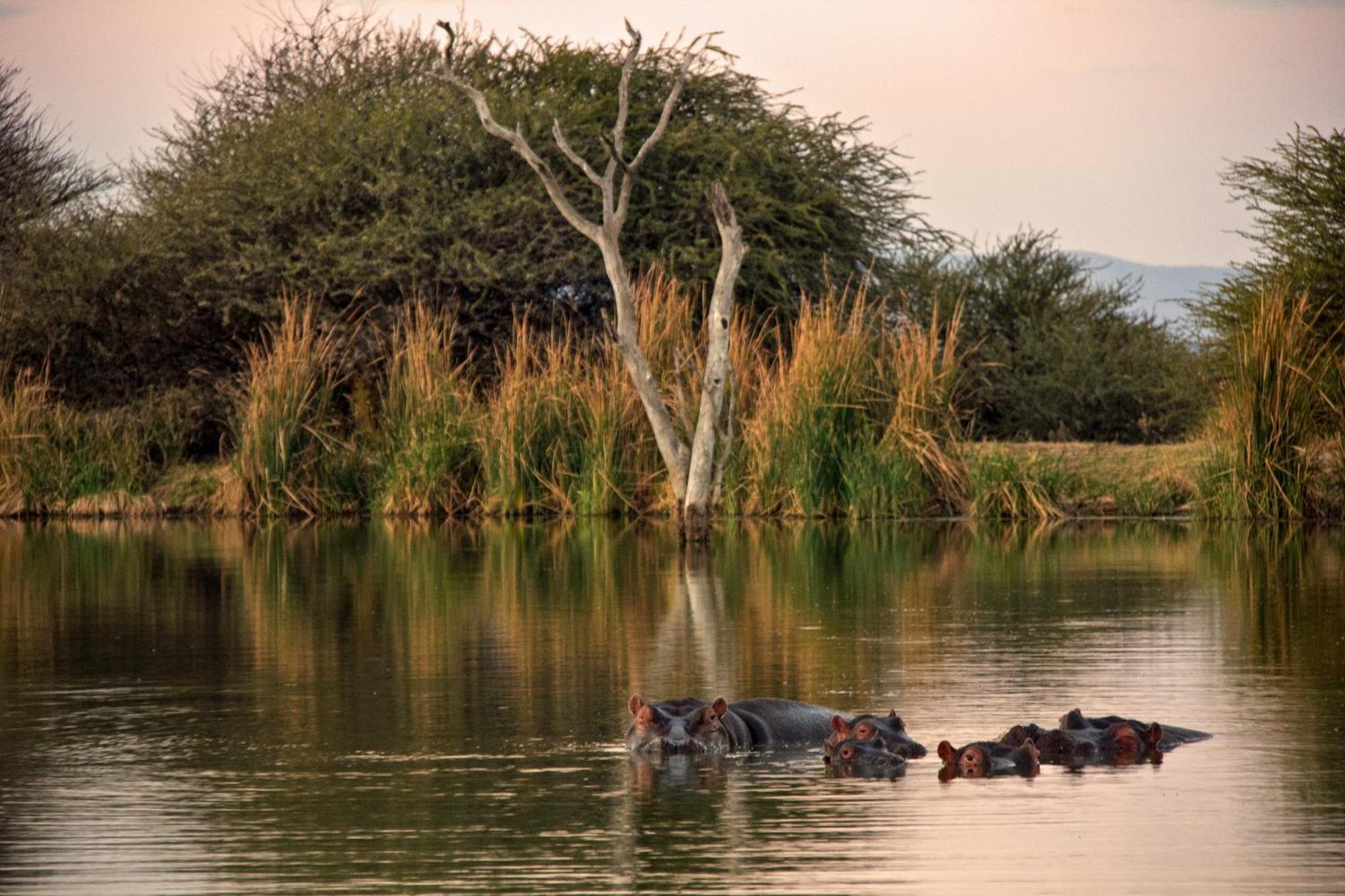 Ditholo Game Lodge Bela Bela Екстер'єр фото